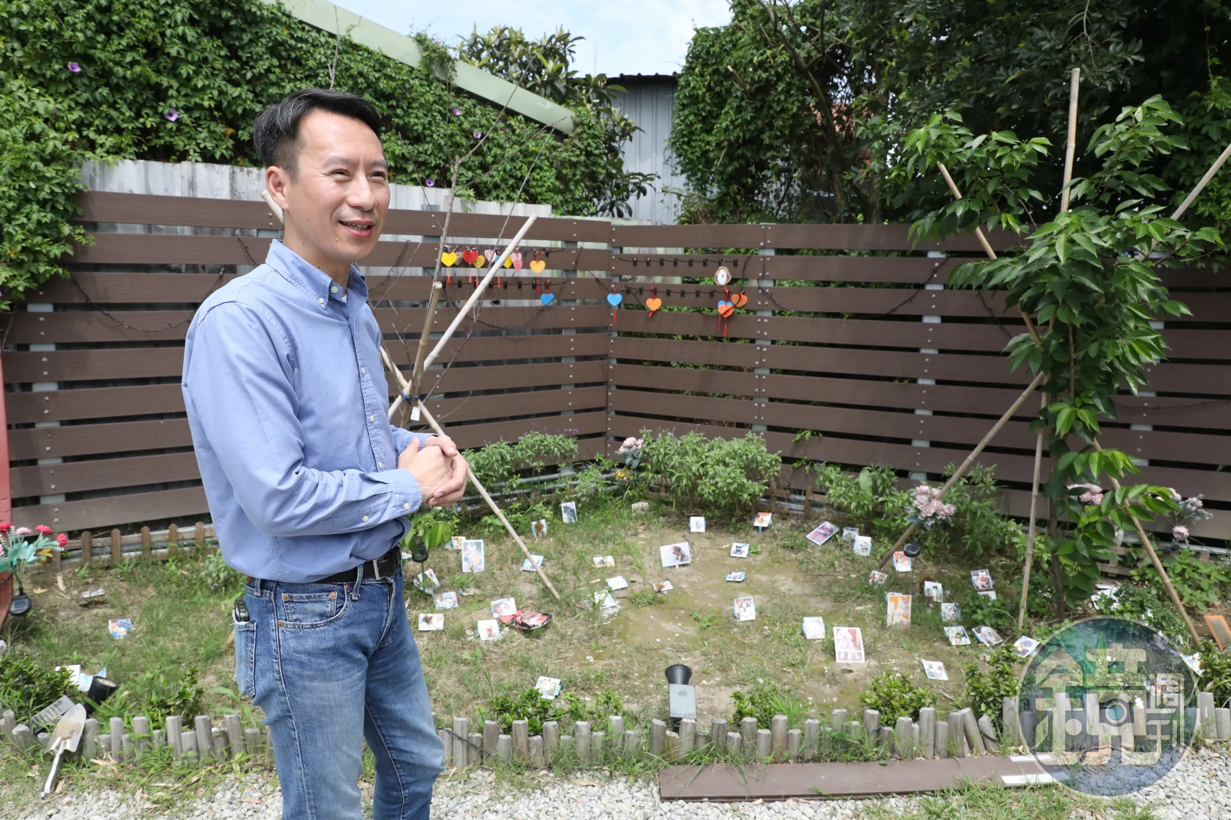 陶花源寵物天堂媒體報導