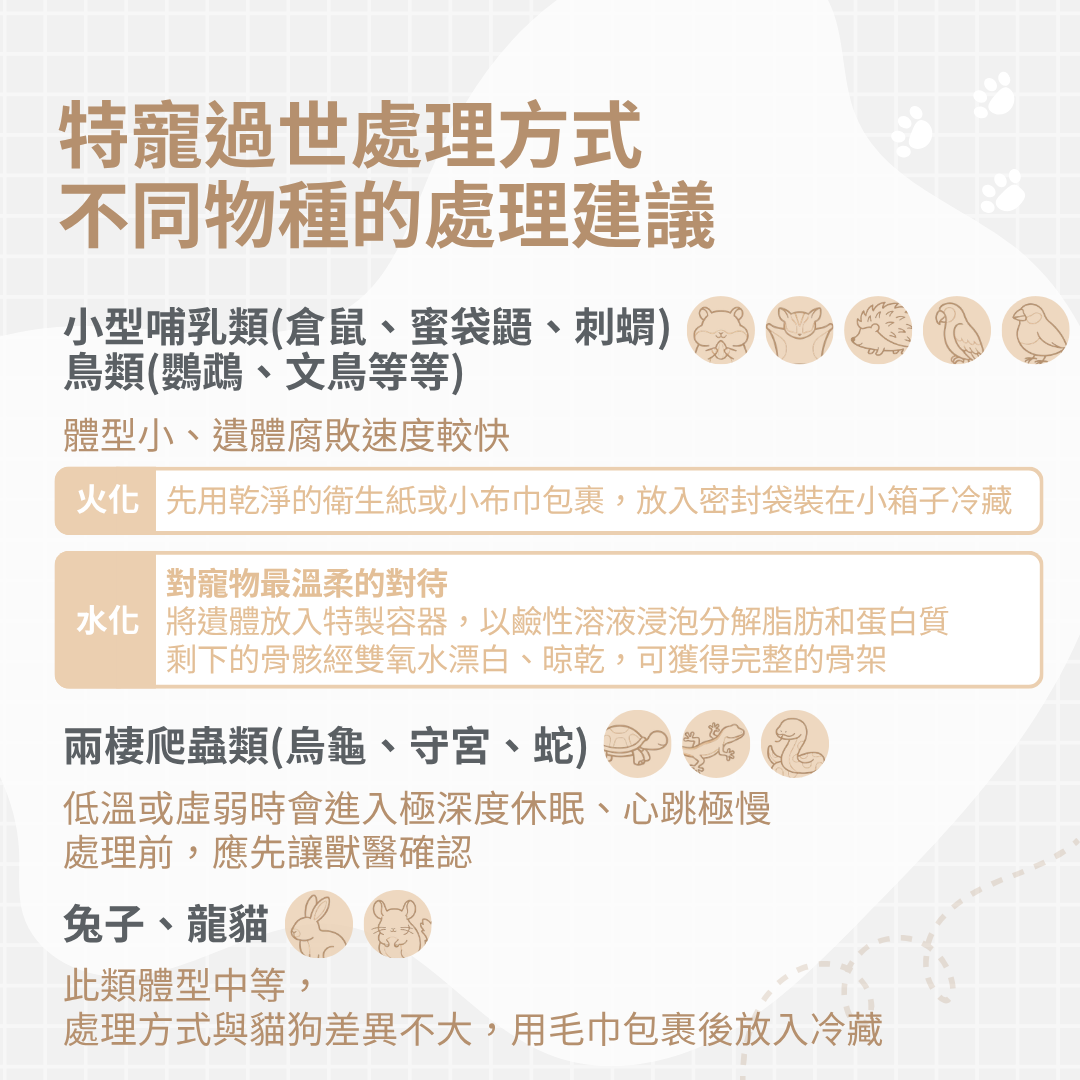 特寵過世處理方式